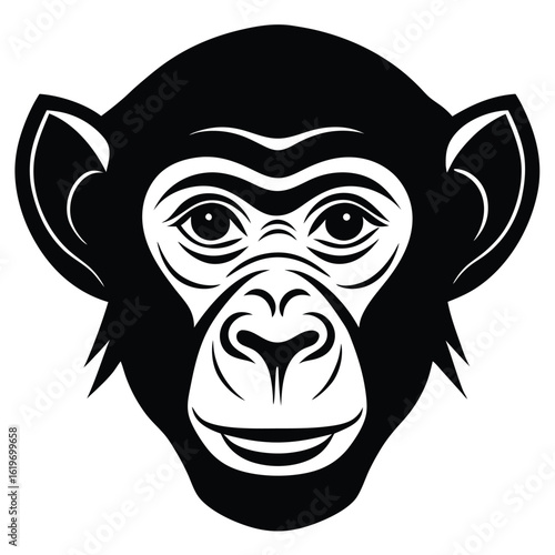 head of the monkey