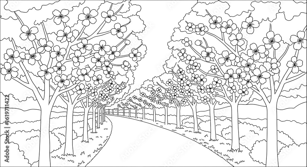 Fototapeta premium Serene Black and White Line Art: Blossoming Cherry Trees Frame a Winding Country Road