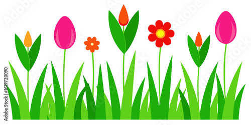 Vibrant spring flowers blooming in green grass tulips