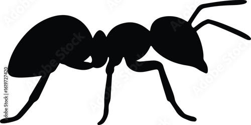 Silhouette ant insect single detailed black shape vector Illustrator