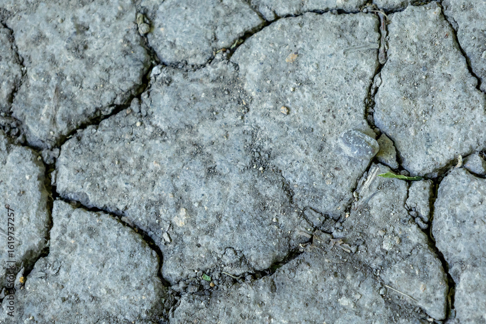 Obraz premium Dry cracked soil texture background