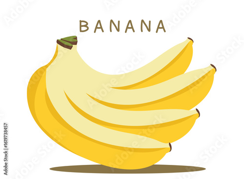 Vector illustration of a peeled bunch of bananas with the word "BANANA" above, shown in a playful cartoon style on white background