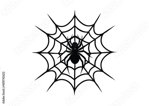 Spider on web silhouette black vector white background