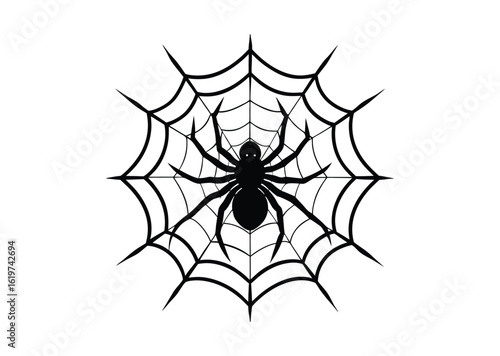Spider on web silhouette black vector white background