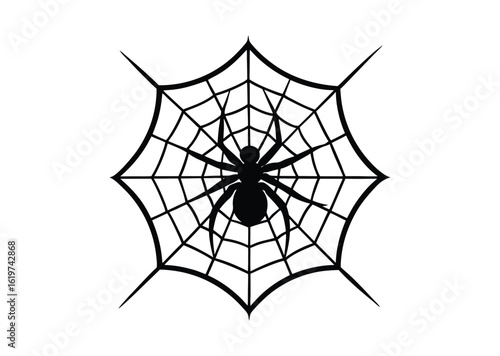 Spider on web silhouette black vector white background