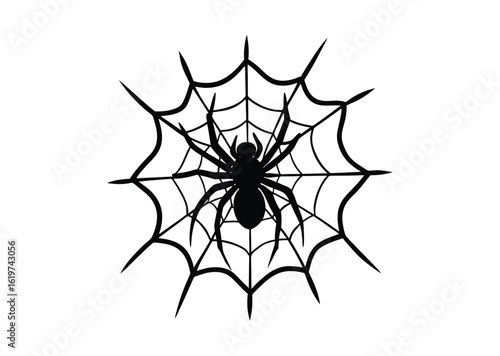 Spider on web silhouette black vector white background