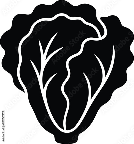 Silhouette lettuce icon fresh vegetable healthy diet vector Illustrator
