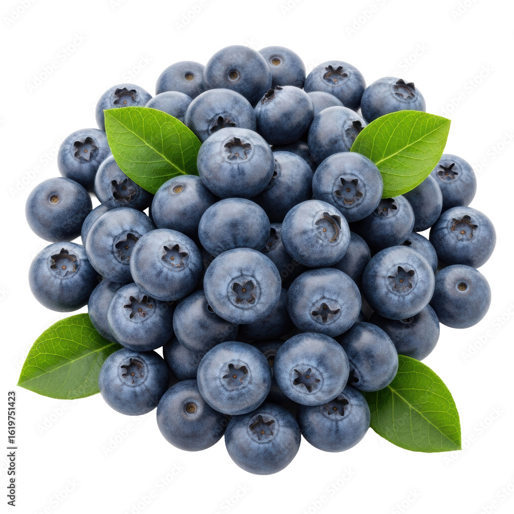 Fototapeta premium Fresh, plump indigo-blue blueberries with whitish bloom and green leaves in a natural mound, isolated on a pristine transparent seamless studio background with bright diffused studio light, concept of