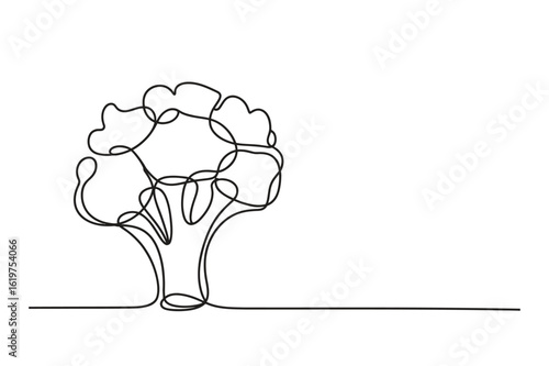 Continuous line broccoli illustration – editable vector for healthy food and diet themes