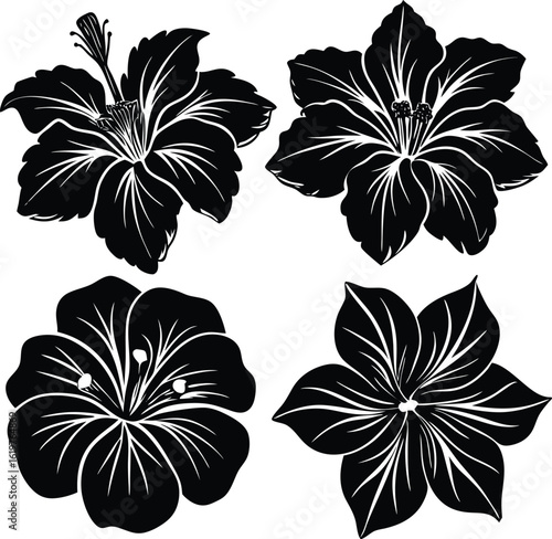 Four stylized black and white floral silhouettes featuring detailed petals and stamens evoking a tropical or botanical artistic aesthetic