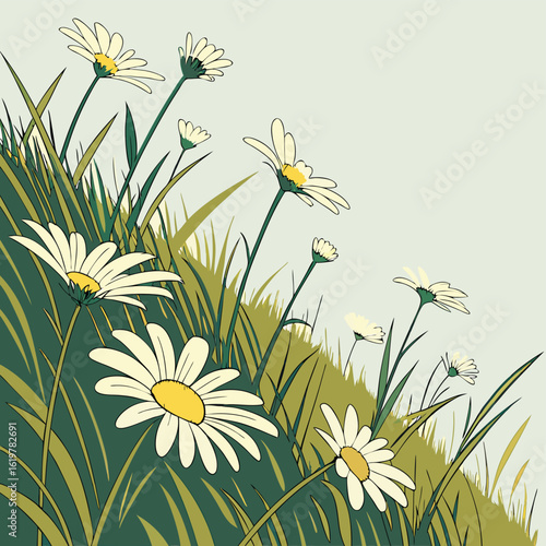 Field of white daisies flowers and green grass nature background spring summer meadow landscape illustration
