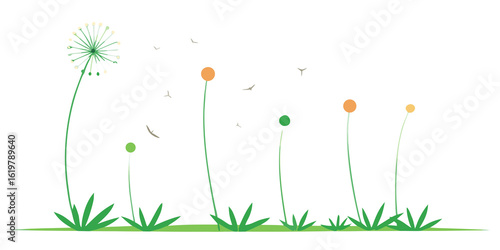 Green grass with dandelion seeds and flying birds image