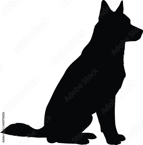 Black german shepherd silhouette sitting