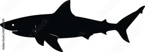 Black shark silhouette ocean predator marine life