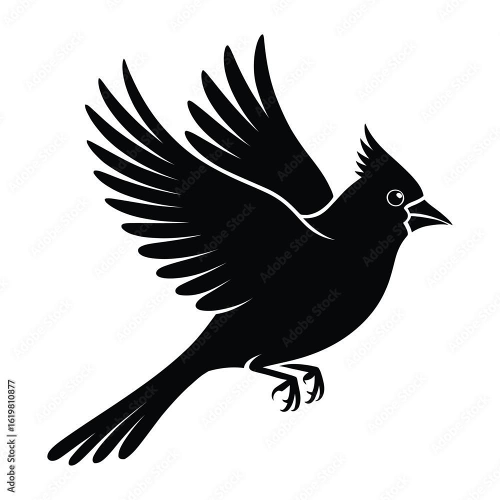 Fototapeta premium Cardinal Flying Bird Silhouette, Vector, Illustration, Outline, Line Art, Icon, Logo, White Background.