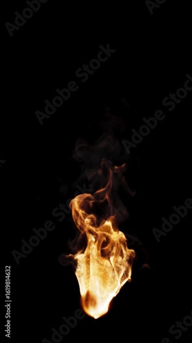 Animation of fire burning. Flame appears on a black background and burns until the end of the video. Vertical composition. File contains Alpha Channel.