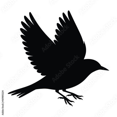 Lark Flying Bird Silhouette, Vector, Illustration, Outline, Line Art, Icon, Logo, White Background.