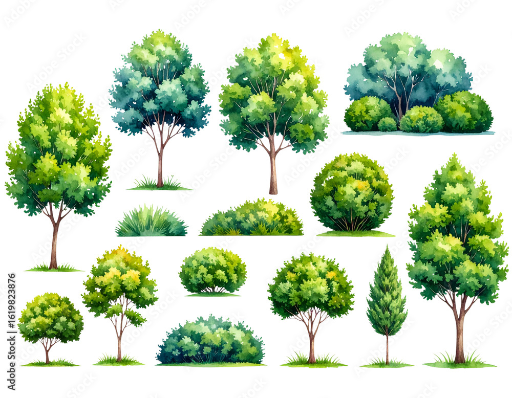 Fototapeta premium A vibrant collection of isolated green trees with lush foliage and a mix of leaves and branches, perfect for illustrating nature's summer growth in any environment