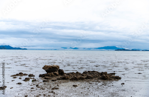beach and rocks