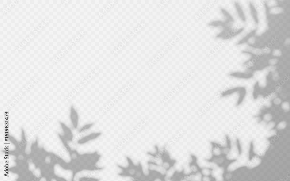 Obraz premium Abstract shadow overlay from foliage tree branch on a transparent background.