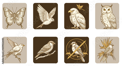 Vintage Bird and Butterfly Illustrations Set