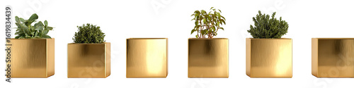 Gold-toned cubic planters holding small potted plants