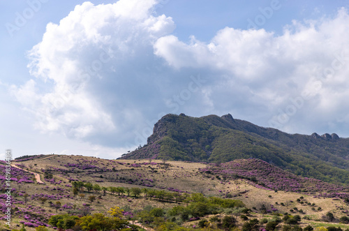 landscape with mountains and blue sky