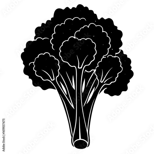 cauliflower isolated on white background