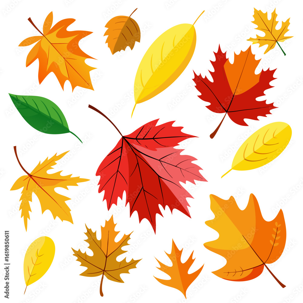 Fototapeta premium autumn leaves collection