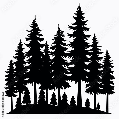 Dense pine forest silhouette isolated on white background