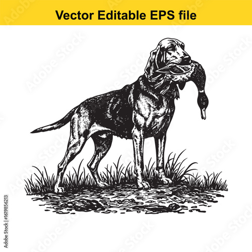 Bloodhound Vintage Black & White Hunting Dog Illustration with Muller Duck – Standing, Jumping, and Hunting Pose