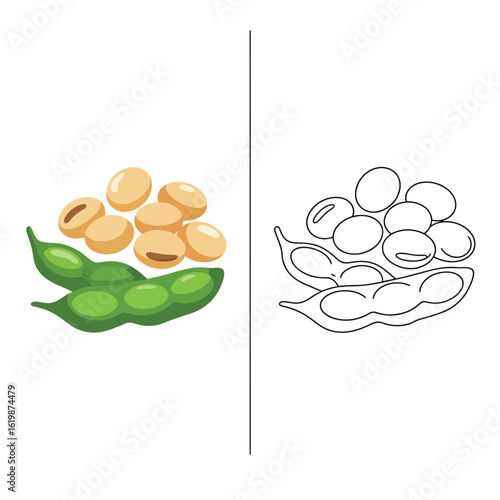 Fresh edamame soybeans in pods and shelled beans illustration