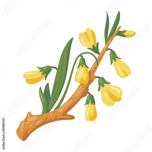 Delicate yellow bell shaped flowers blooming on a wooden branch