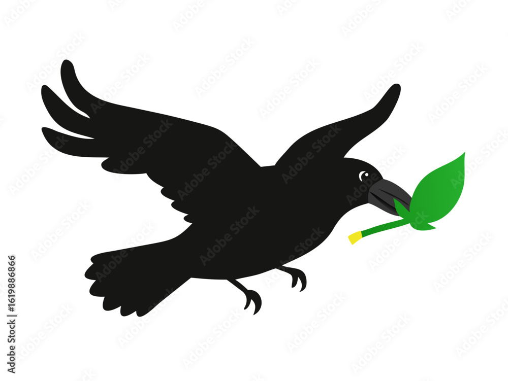 Fototapeta premium Black bird flying with green leaf in beak