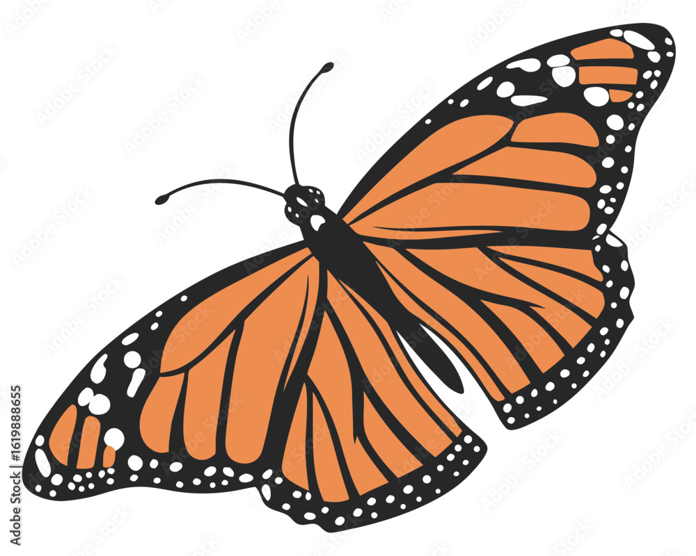 Fototapeta premium butterfly vector