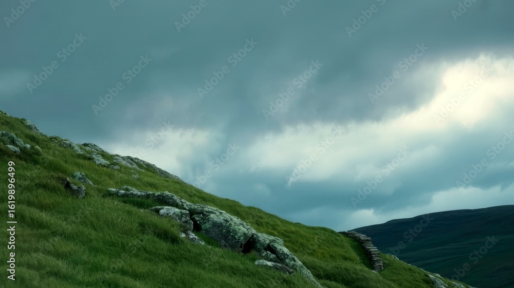 Fototapeta premium Scenic view of field against sky