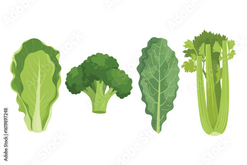 Fresh green vegetables arranged on a white background