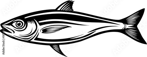 Anchovy Fish Lineart Vector for Coloring Page