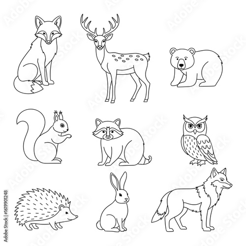Forest Animals Outline A collection of line drawings of various woodland creatures. Each animal is captured in a minimalistic style, ideal for illustrating nature themes.