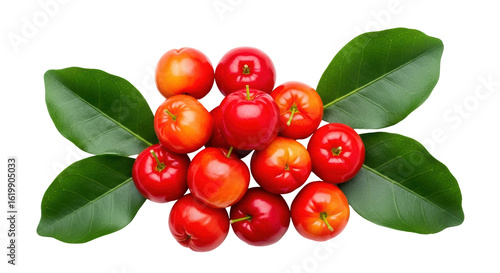 Fotografie Isolated Acerola Cherries with Green Leaves