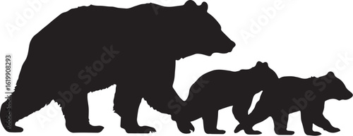 Black bear family walking cubs silhouette