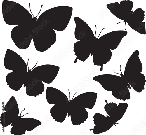 Black butterfly silhouettes insect wing