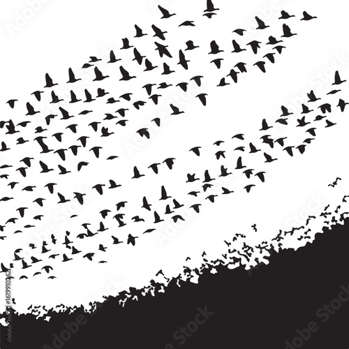Flock of birds in flight flying migration