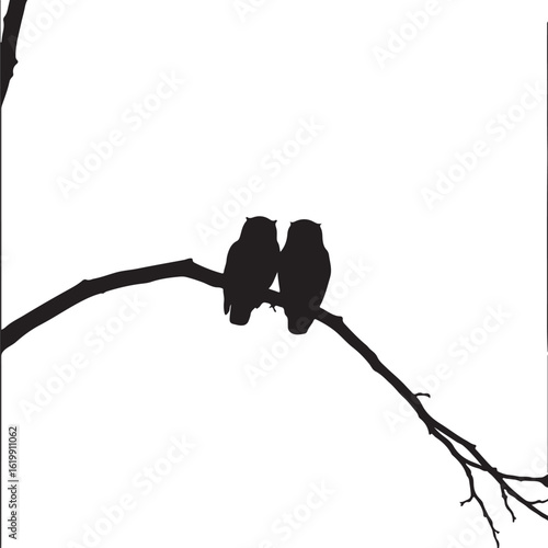 Two owls perched on a branch birds silhouette