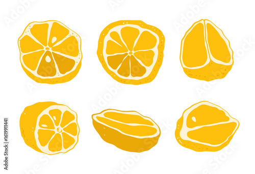 Set of lemons. Citrus illustration isolated on white background.