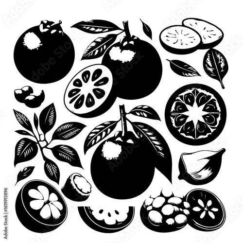 Illustration of assorted mangosteen fruits with leaves in black and white monochrome style design art