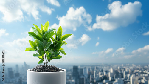 Small green plant in white pot stands against city skyline, symbolizing urban sustainability and growth