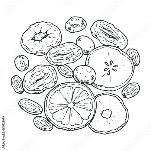 Hand-drawn variety of dried fruits and nuts in monochrome line art style. Vector illustration