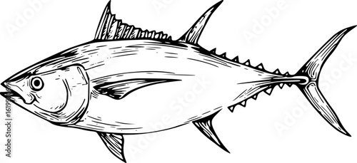 Tuna Fish Outline Vector for Logo and Coloring