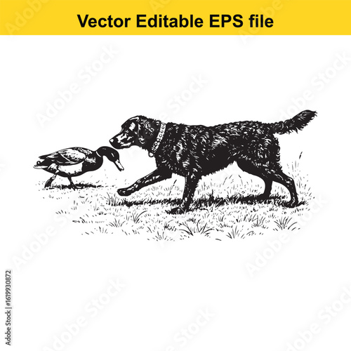 Curly-Coated Retriever Vintage Black & White Hunting Dog Illustration with Muller Duck – Standing, Jumping, and Hunting Pose